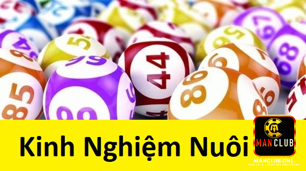 Những kinh nghiệm nuôi lô đề xương máu từ những lão làng truyền lại